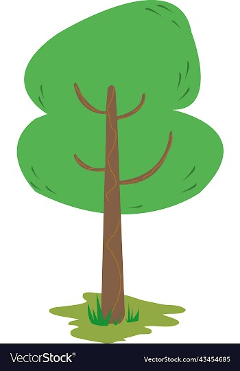 arbol