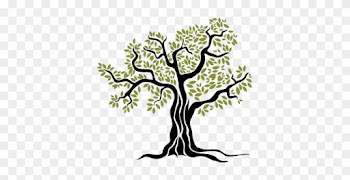 Arbol Del Olivo - Olive Tree Vector Png