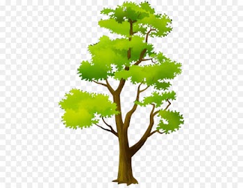 Arbor day