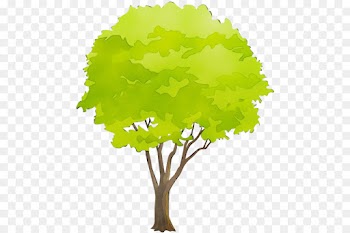 Arbor day