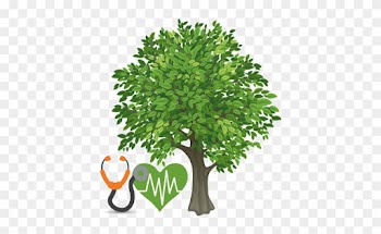 Arbor West Services - Apple Tree Clipart