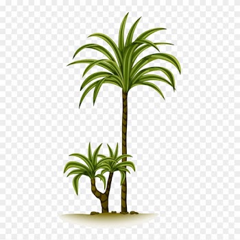 Arbre,tubes,png - Palm Trees