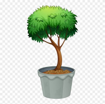 Arbustosfrutaflores En Macetaplantas - Potted Tree Drawing