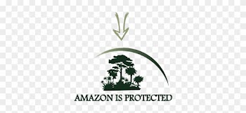 Arc Amazon Project Graphic Part4 - Tree