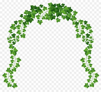 Arch Clip art - Vine Arch PNG Clipart Picture 