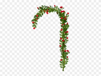 Arch Clipart Flower Arch - Rose Arch Png