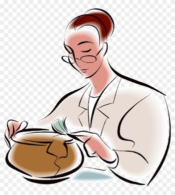 Archaeologists Scientist Who Use Remains Of Material - Archaeologists Scientist Who Use Remains Of Material