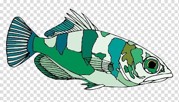 Archerfish , creative green and white ornamental fish transparent background PNG clipart