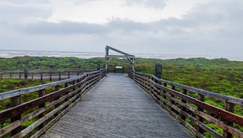 Architectural Photography of Black and Brown Wooden Bridge