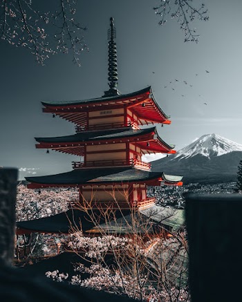 Architectural Photography of Black and Red Temple