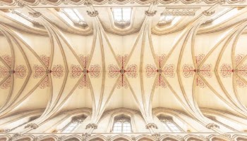 architectural photography of brown building