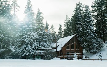 architectural photography of brown house