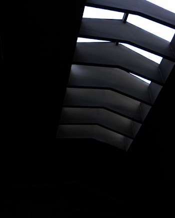 Architectural Photography of Ceiling