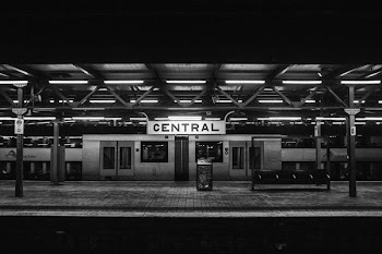 architectural photography of Central station