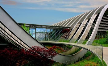 architectural photography of modern building
