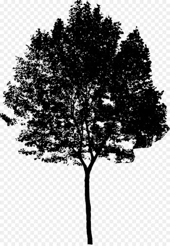 Architectural rendering Tree Architecture Portable Network Graphics -  