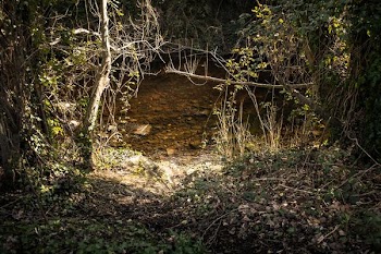          Archway To The River Free Photo     