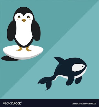 Arctic Animals vector image