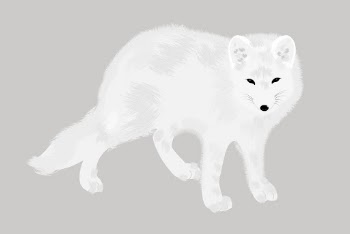 Arctic fox clipart, animal illustration | Free PSD - rawpixel