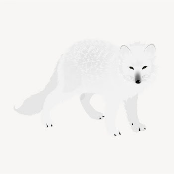 Arctic fox clipart, animal illustration | Free Vector - rawpixel