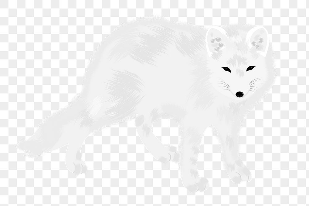 Arctic fox png sticker, animal | Free PNG - rawpixel