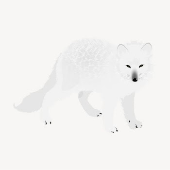 Arctic fox sticker, animal illustration | Free PSD - rawpixel