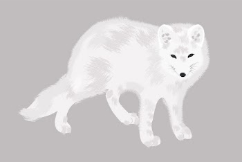 Arctic fox sticker, animal illustration | Free Vector - rawpixel
