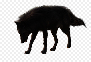 Arctic wolf Black wolf Download Clip art - wolf png download ...
