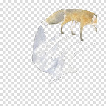 Arctic wolf Canidae African wild dog Illustration, Wolf transparent background PNG clipart