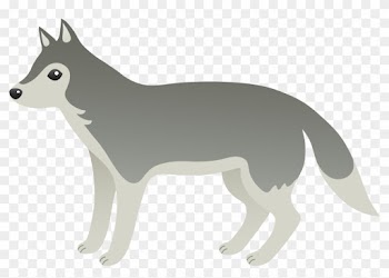 Arctic Wolf Clipart Transparent Pencil And In Color - Wolves Clip Art