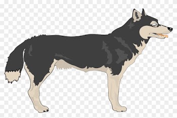 Arctic Wolf Mackenzie Valley Wolf Clip Art - Arctic Wolf Mackenzie Valley Wolf Clip Art