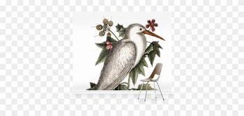 Ardea Alba Mural By Mark Catesby - Catesby's Natural History Series 'little White Heron