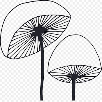 Area of a circle Area of a circle Perimeter Clip art - advice ornament 
