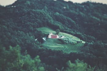 Areal Photography of White Building Surrounded by Forest