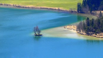 Areal View Of Body Of Water And Trees