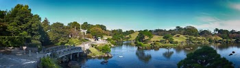 Areal View of Lake Bridge and Trees during Daytime