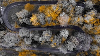 areal view photography of asphalt road and trees