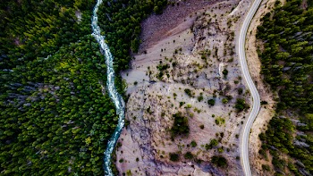 Areal View Photography of Green Trees