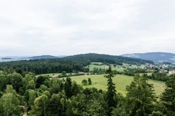 Areal View Photography of Green Trees