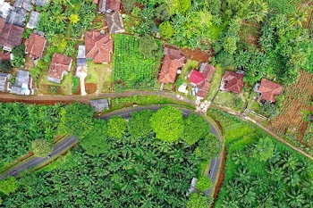 Areal View Photography of Green Trees