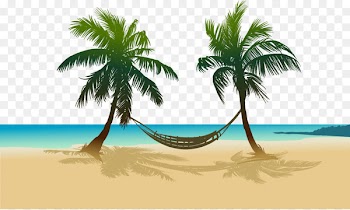 Arecaceae Beach Drawing Sea - Sandy beach 