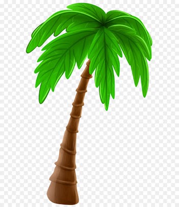 Arecaceae Cartoon Tree Clip art - Palm Tree Cartoon PNG Clip Art Image 