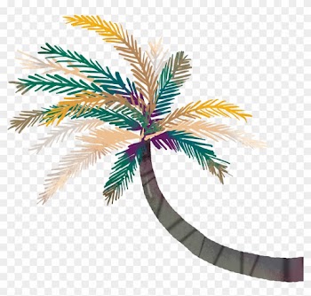 Arecaceae Clip Art - Arecaceae Clip Art