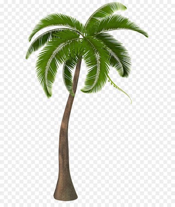 Arecaceae Clip art - Beautiful Palm Tree PNG Clipart Image 