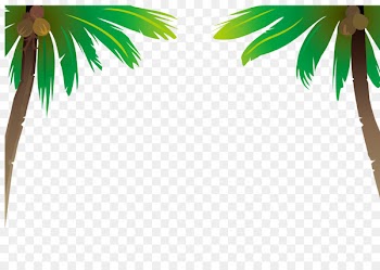 Arecaceae Coconut Euclidean vector - Coconut tree vector 