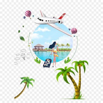 Arecaceae Coconut Euclidean vector Tree - Summer vacation travel 