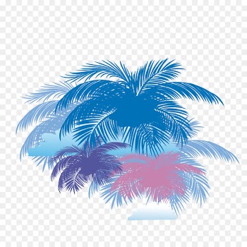 Arecaceae Coconut Tree - Coconut tree background vector 