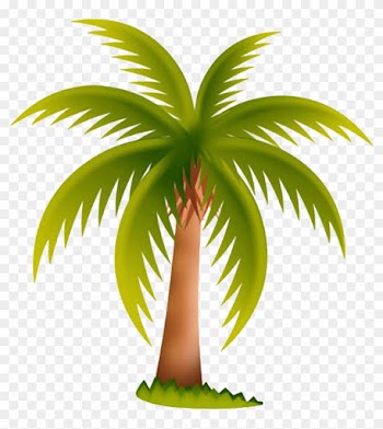 Arecaceae Date Palm Tree Clip Art - Palm Tree Clip Art