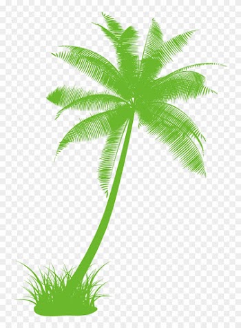 Arecaceae Drawing Tree Black And White Clip Art - Palm Tree Clip Art