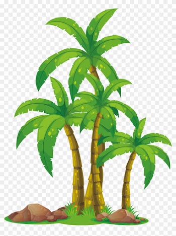 Arecaceae Euclidean Vector Clip Art - Palm Tree Clip Art